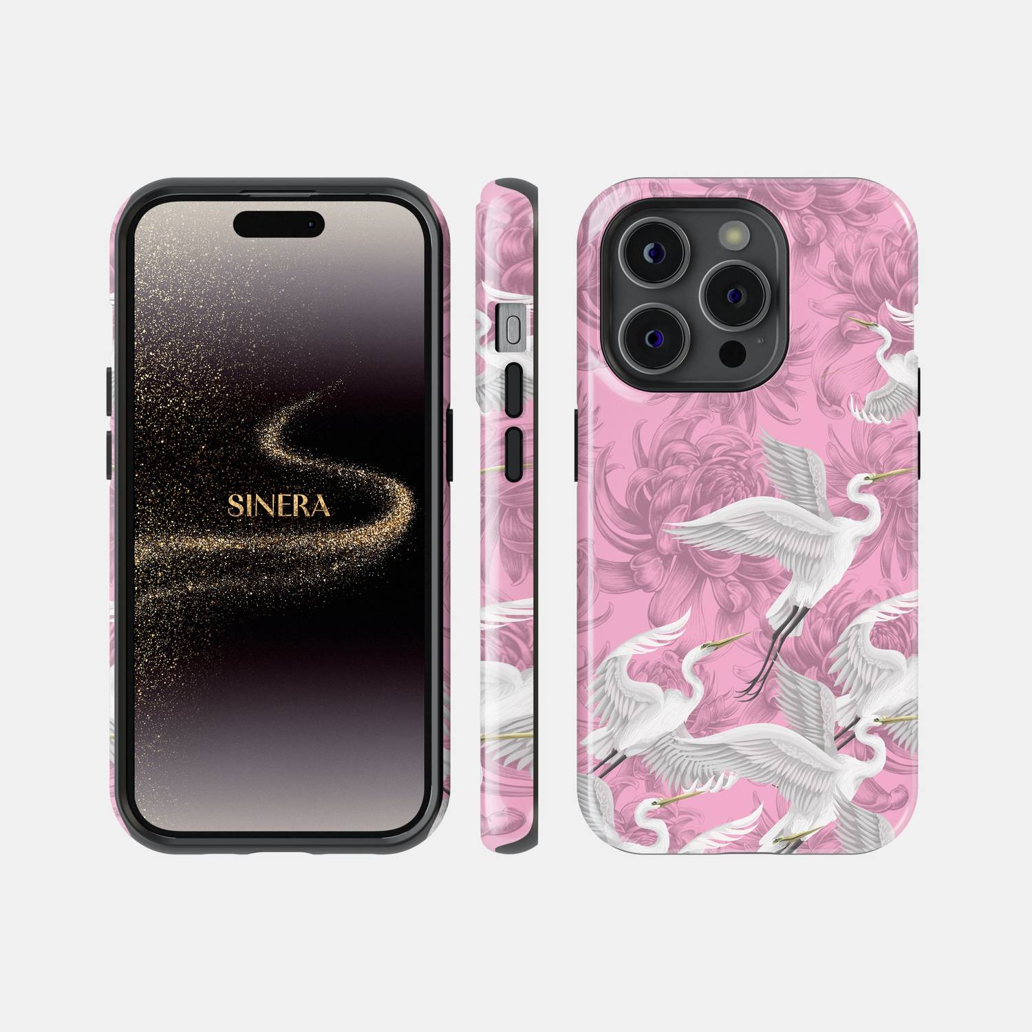 Aurora Phone Case