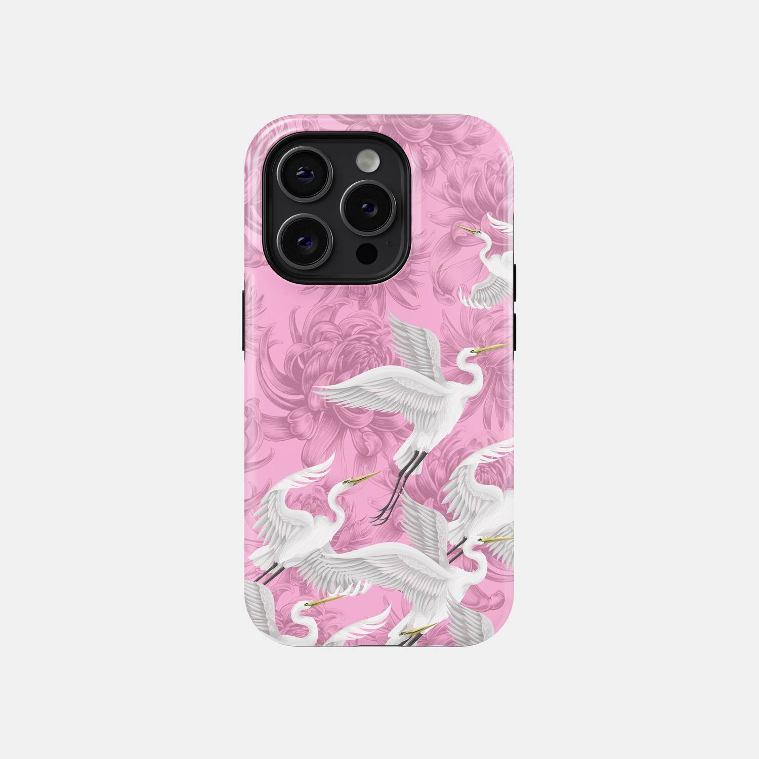 Aurora Phone Case